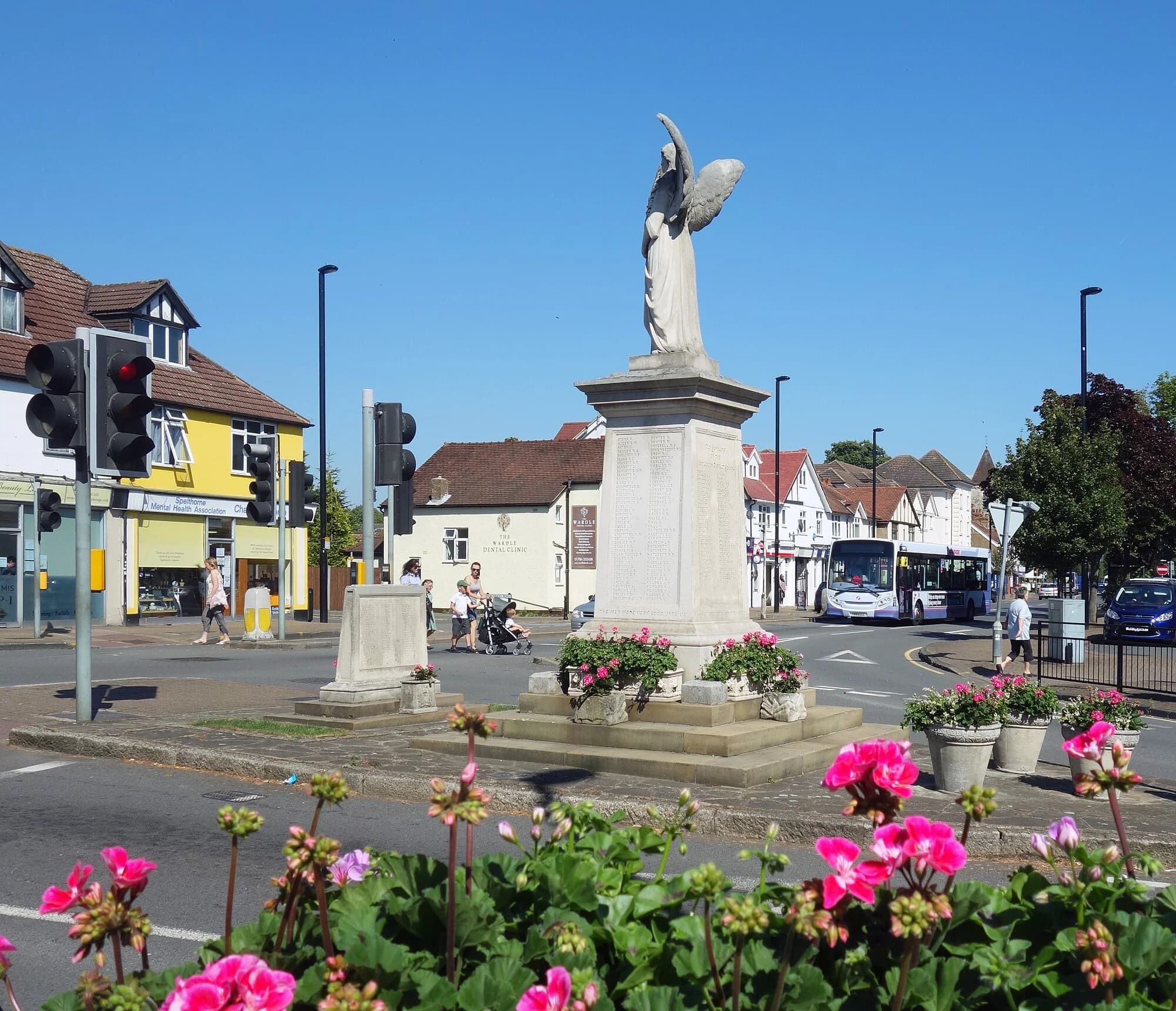 Vets in Ashford Common