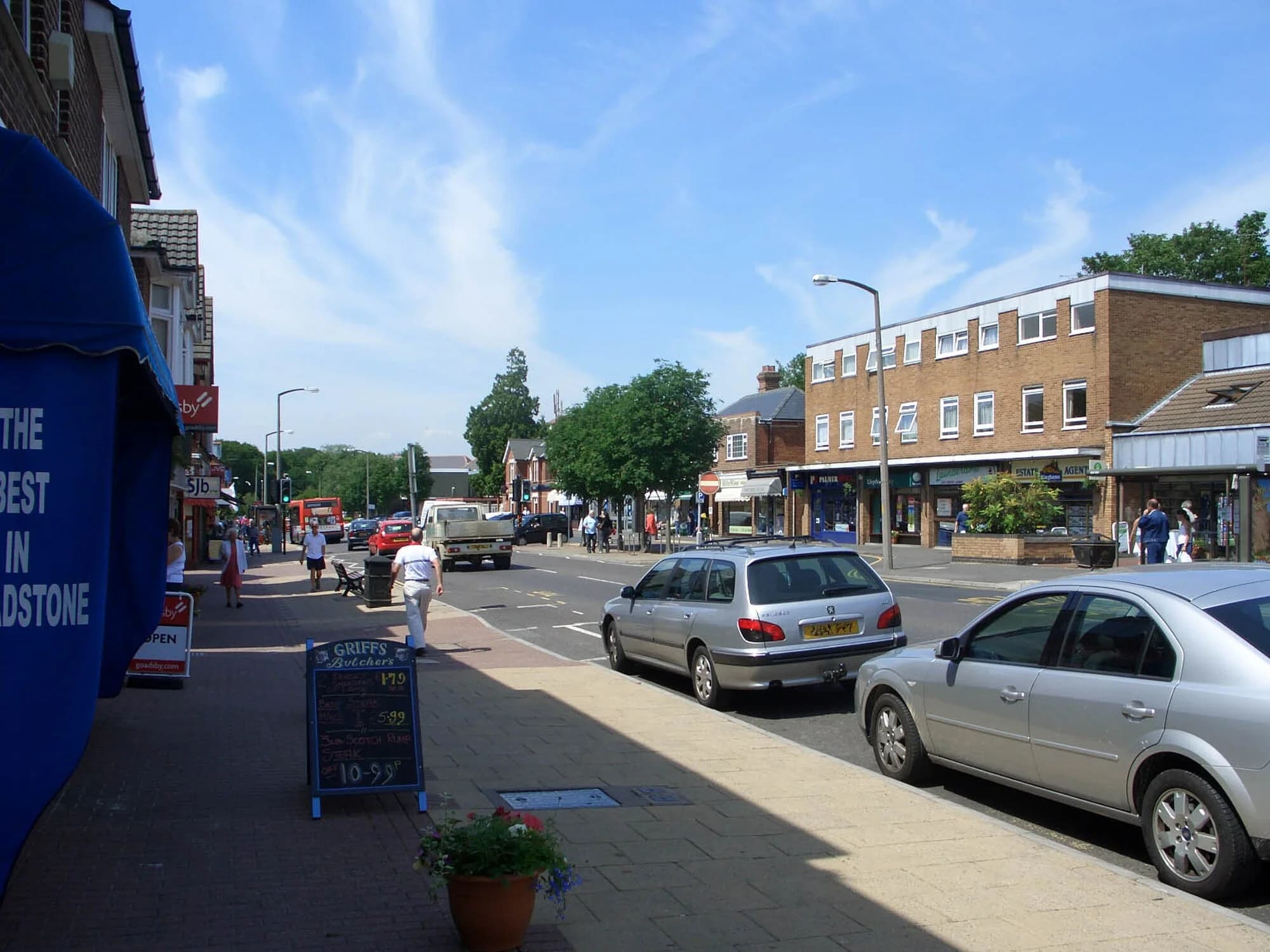 Vets in Broadstone
