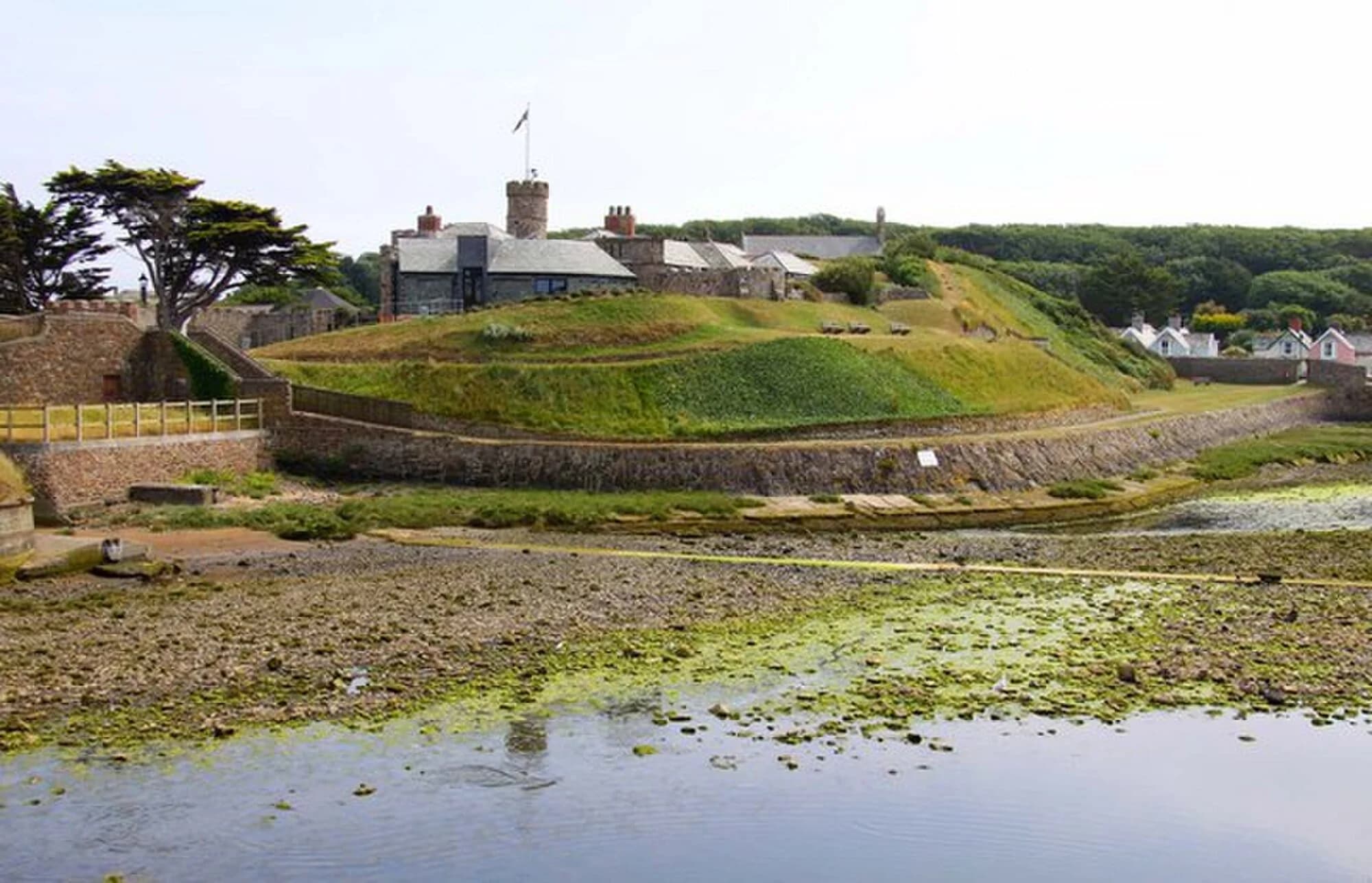 Vets in Bude