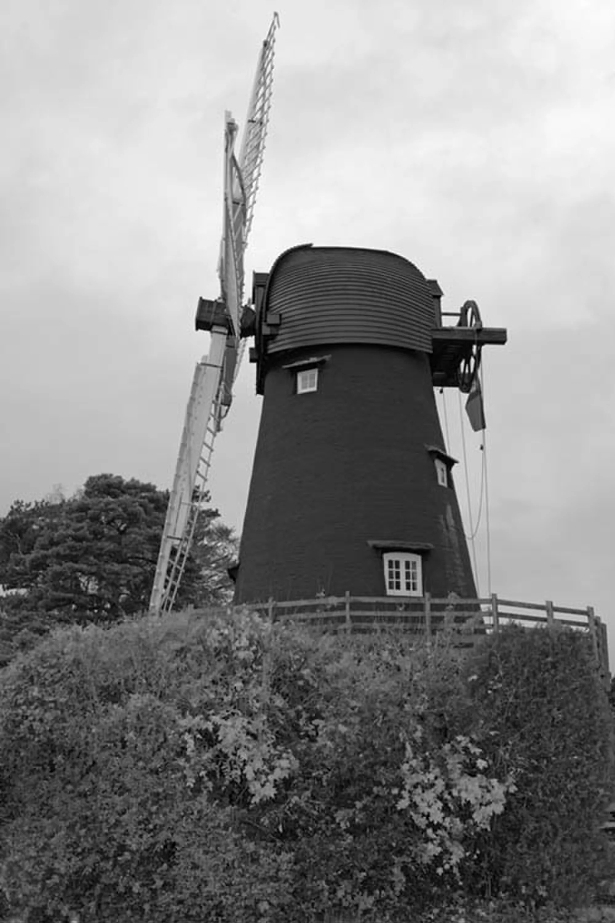 Vets in Bursledon