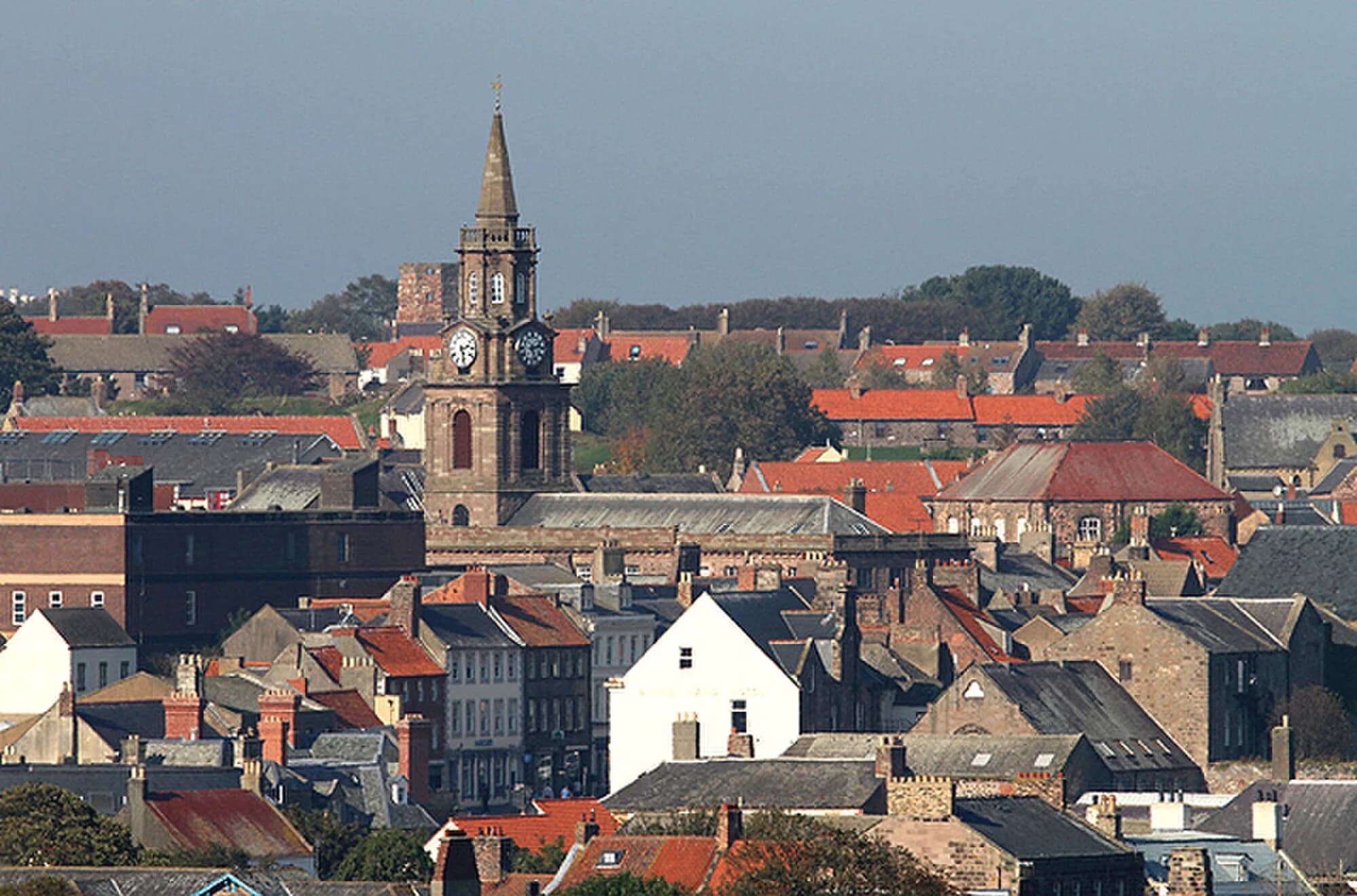 Vets in Berwick-Upon-Tweed
