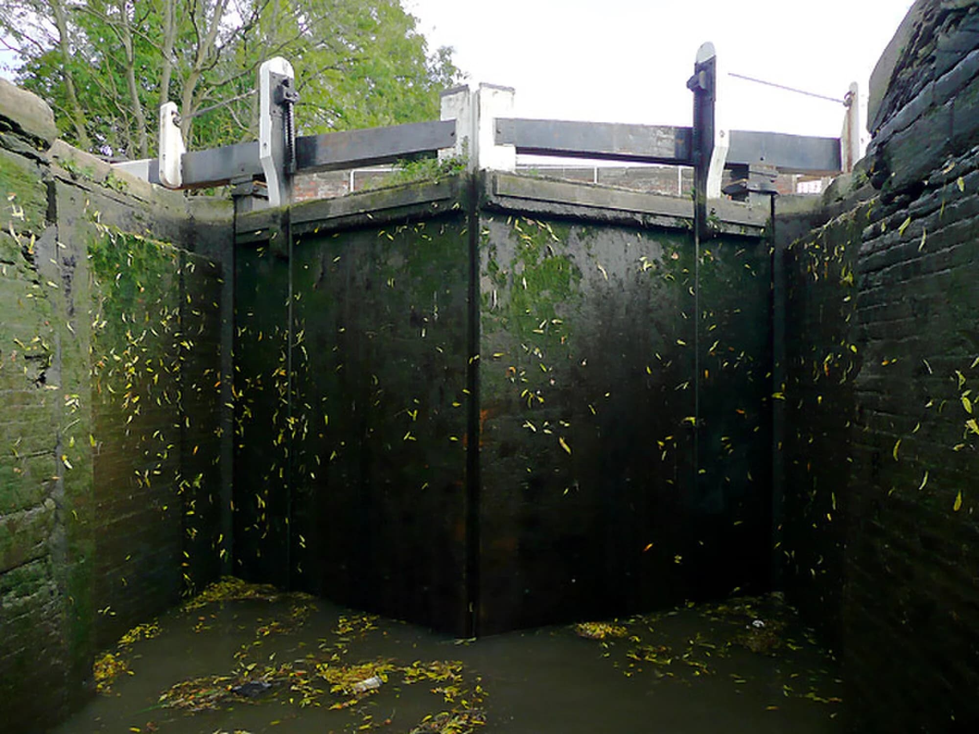 Vets in Burton On Trent